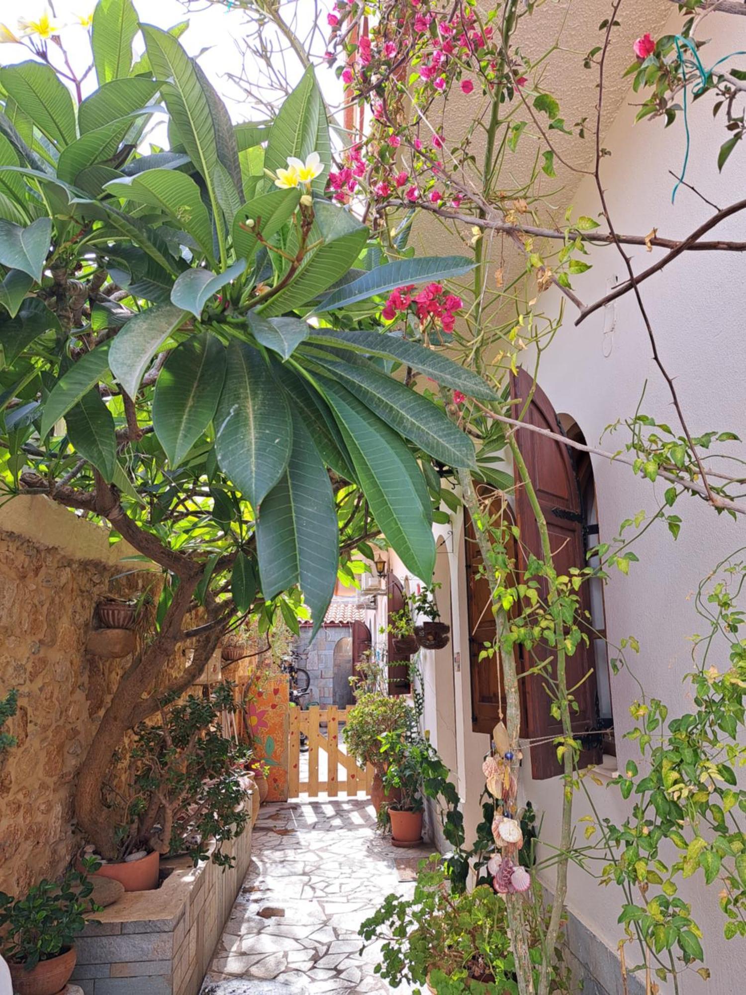 Stella Apartments Malia Kültér fotó